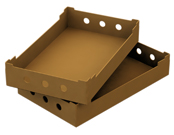 Tray Case